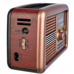 رادیو اسپیکر گولون مدل RX-BT3600S با بلوتوث